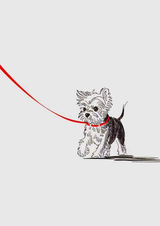 Walking My Yorkshire Terrier - Dog and Cat Posters